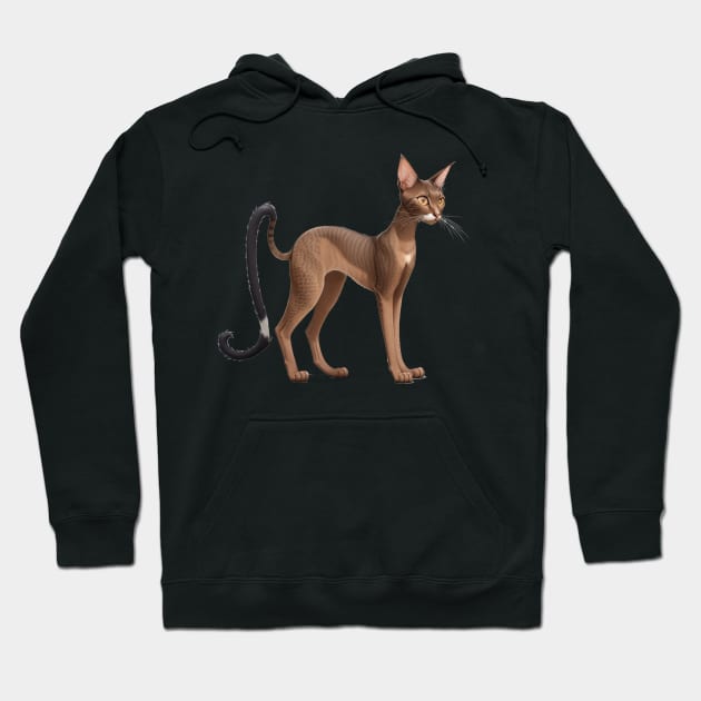 Oriental Shorthair cat Hoodie by Moulezitouna